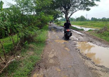 Masyarakat keluhkan Ruas Jalan Bringin-Luwungkencana Rusak Parah