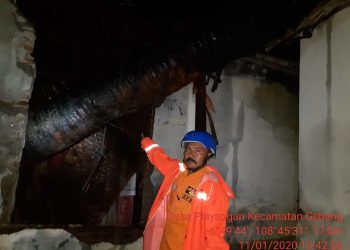 Pohon Palem Tumbang Bayi Umur 6 Bulan, Tertimpah Runtuhan Bangunan