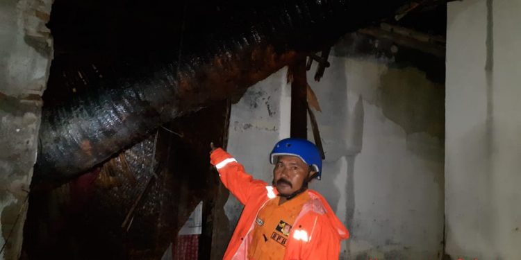 Pohon Palem Tumbang Bayi Umur 6 Bulan, Tertimpah Runtuhan Bangunan