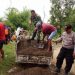 Unik, Menjaring Tanah, Lumpur dan Pasir dengan Cara Memasang Gebyog