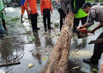 Anggota Sat Sabhara Polres Cirebon Kota Bantu Evakuasi Pohon Tumbang