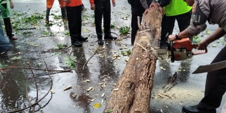 Anggota Sat Sabhara Polres Cirebon Kota Bantu Evakuasi Pohon Tumbang