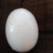Telur Burung Dara Ajaib