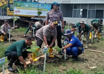 Gandeng JIP, PT. PJB UBJOM PLTU Tanam 1000 Pohon Keras di Pantai Plentong