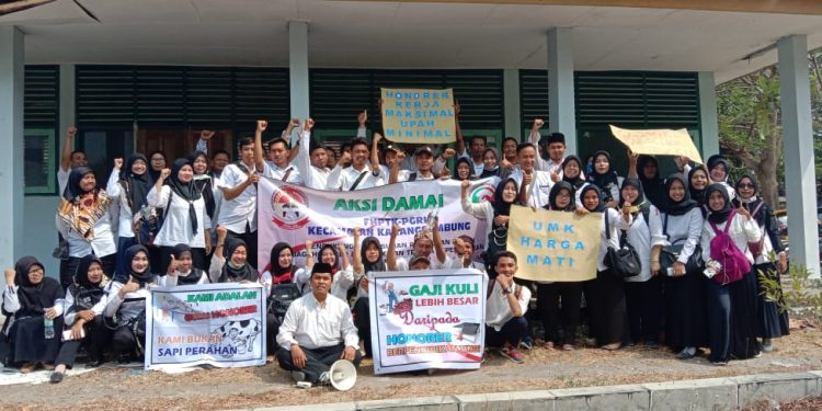 Honorer Akan Turun Dan Aksi Kejalan, Terkait Penganggaran Untuk Honorer  Yang Tidak Jelas