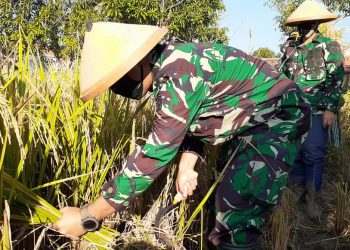 Cegah Penyebaran Covid 19 Pemdes Penganjang Lakukan Penyemrotan