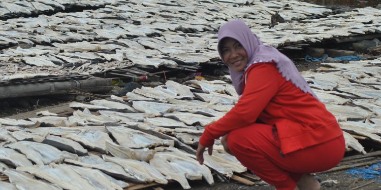 Jemur Ikan Asin Untuk mengawetkan hasil tangkapan agar tetap bisa dijual, para nelayan di Eretan Indramayu mengolah ikan segera menajdi ikan asin. Salah satu yang masih menjadi primadona adalah ikan asin jamal. Tampak proses pengeringan Minggu (3/5) dengan di jemur ditengah terik matahari. **( ichsan/ pelita news)