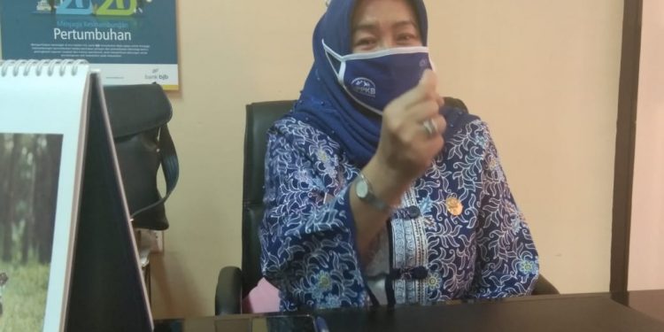Antisipasi Kehamilan di Masa COVID-19, DPPKB Indramayu  akan Mengadakan Pelayanan KB Serentak Sejuta Akseptor