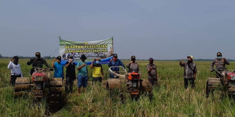 Ketahanan Pangan, Polres Indramayu Bantu Lakukan Percepatan Pengolahan Tanah Sawah