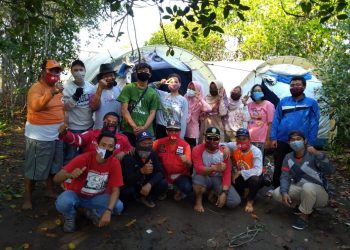Hari Mangrove Se Dunia Rumah Berdikari Hijaukan Pantai Song