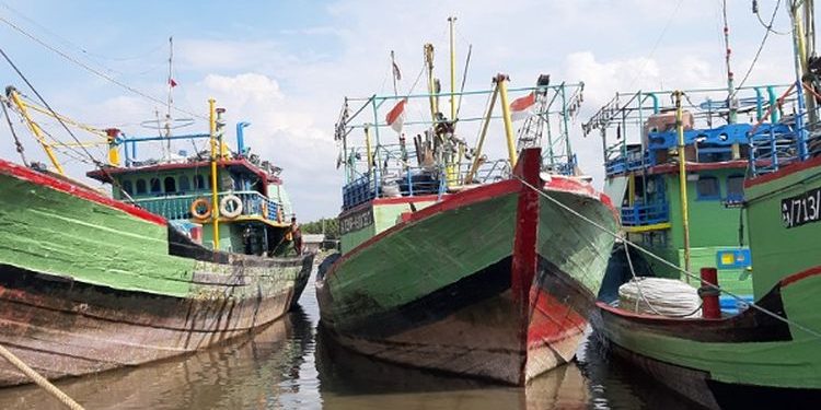 Budidaya Rumput Laut Nilai Tambah Bagi Nelayan Pantura