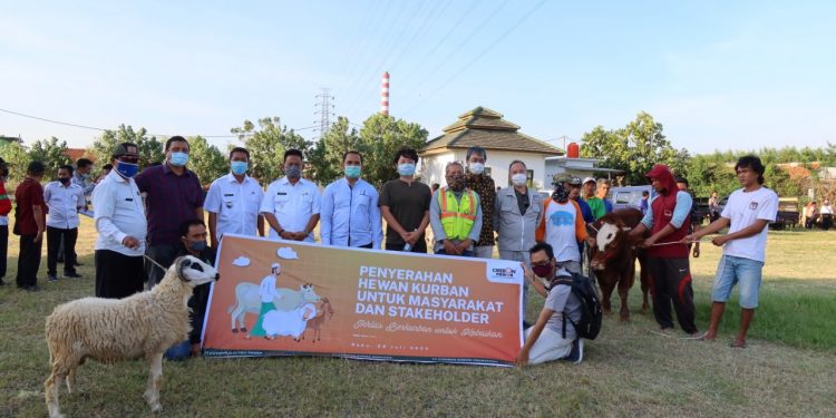 Cirebon Power Bagikan 65 Ekor Hewan Kurban Untuk Masyarakat