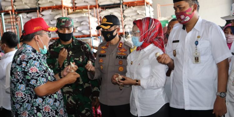 Brebes, Eksport Perdana Bawang Putih Indonesia