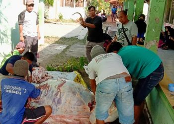 Peringati Hari Raya Idul Adha 1441 H, SMPN 1 Karangsembung Berkurban Sapi dan Kambing