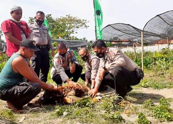 Maknai Hari Raya Idul Adha 1441 H, Polsek Lemahabang Berbagi Qurban di Era Adaptasi Kebiasaan Baru