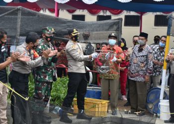 Kapolresta Cirebon Panen Lele dan Sayuran Hasil Budidaya Program Ketahanan Pangan di Polsek Pangenan
