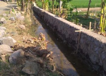 Petani Soge Sambut Program P3TGAI Untuk Peningkatan produksi Pertanian .