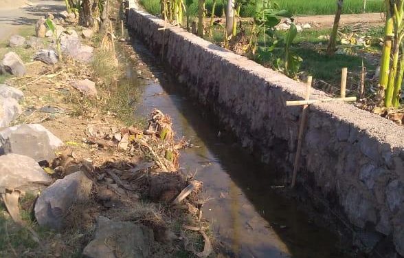 Petani Soge Sambut Program P3TGAI Untuk Peningkatan produksi Pertanian .
