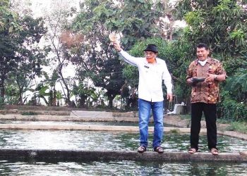 Selain Perikanan Laut Potensi Perikanan Air Tawar Capai 102 Ribu Ton