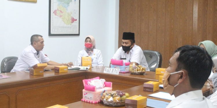 Wakil  Bupati Ikuti Webnar APKASI