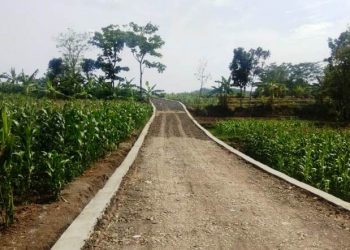Hari ke -20 Pelaksanaan Jalan TMMD Reguler Brebes di Dusun Kedung Kandri