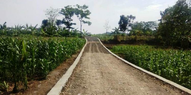 Hari ke -20 Pelaksanaan Jalan TMMD Reguler Brebes di Dusun Kedung Kandri
