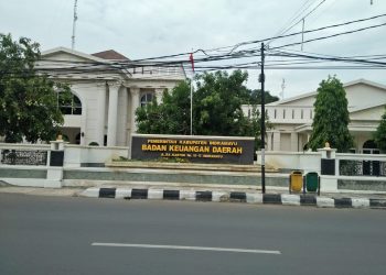 Penyaluran Dana Desa 2020 Ditengah Pandemi COVID-19