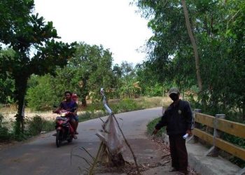 Jembatan Bangong Berlubang Warga Minta segera Diperbaiki  