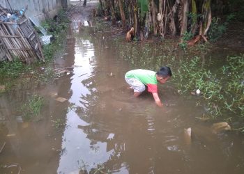 Akibat Pintu Air Rusak Puluhan Rumah Terendam Banjir