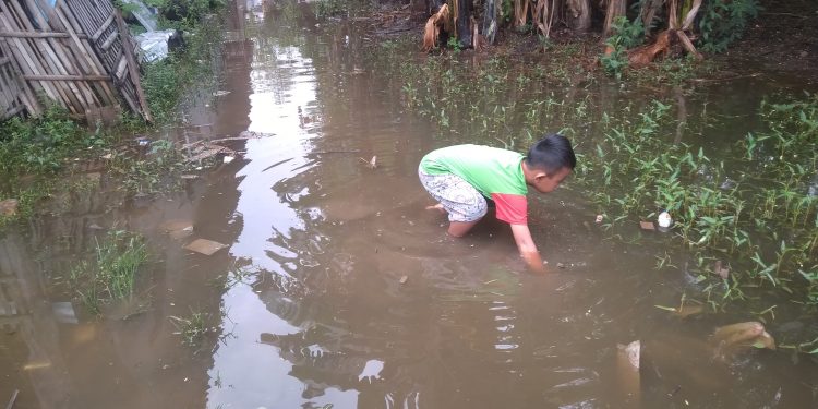 Akibat Pintu Air Rusak Puluhan Rumah Terendam Banjir