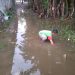 Akibat Pintu Air Rusak Puluhan Rumah Terendam Banjir