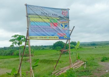 Tabrak Aturan, Ada Bisnis Kavling di Lahan Pertanian Desa Kaligawe dan Kaligawe Wetan