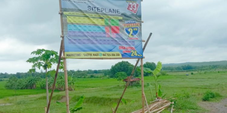 Tabrak Aturan, Ada Bisnis Kavling di Lahan Pertanian Desa Kaligawe dan Kaligawe Wetan