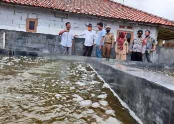Meski Covid-19 Melanda, Petani Rumput Laut Tetap Survive