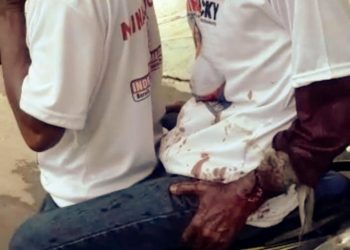 Tim Pemenangan Nina-Lucky di Gigit Anjing 