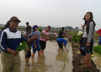 Gapoktan Tani Mulus Raih Penghargaan Bank Indonesia Award 2020