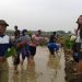 Gapoktan Tani Mulus Raih Penghargaan Bank Indonesia Award 2020