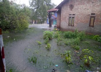 Akibat Hujan Deras dan Luapan Air sungai Cimanuk Puluhan Rumah Terendam Air