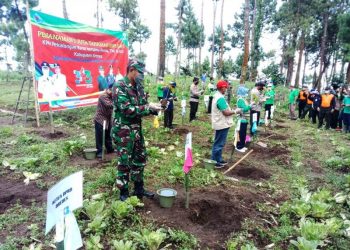 Cegah Longsor, Sejuta Bibit Kopi Arabika Gayo Mulai Ditanam di Lereng Gunung Slamet