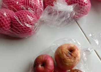 Ketidak Transparansian Informasi Program Sembako di Kecamatan Susukanlebak Patut Di Pertanyakan