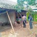 Sudah Kondisi Lapuk, Rumah Warga Setupatok Ambruk Saat di Guyur Hujan Lebat