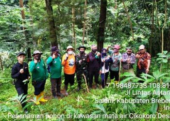 Relawan Peduli Hutan di Salem ,Tanam Ribuan Pohon