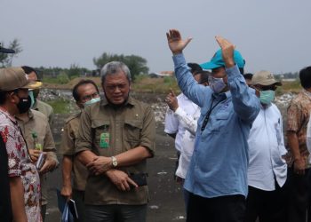 Brebes, Jadi Pusat Pembibitan Mangrove Skala Besar dan Modern