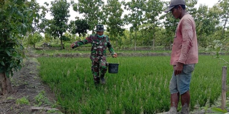 Anak-anak Ngrancang Bojonegoro Terfasilitasi Jalan TMMD Reguler