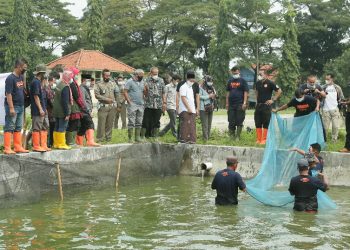 BUPATI CIREBON HADIRI PANEN RAYA BUDIDAYA IKAN