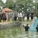 BUPATI CIREBON HADIRI PANEN RAYA BUDIDAYA IKAN
