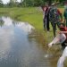 Disnakan Bojonegoro Tebar Ribuan Benih Ikan Tawar di Lokasi TMMD Reguler
