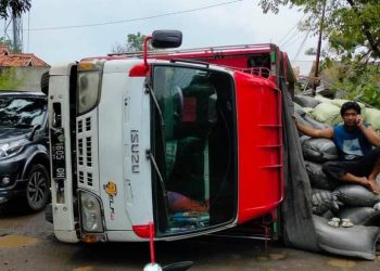 Imbas Jalan Berlubang, Treuk Bermuatan Gabah Terguling