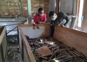 Anggota Satgas TMMD Reguler Bojonegoro Berkarya Sambil Belajar Ternak Jangkrik