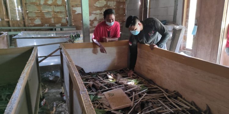 Anggota Satgas TMMD Reguler Bojonegoro Berkarya Sambil Belajar Ternak Jangkrik